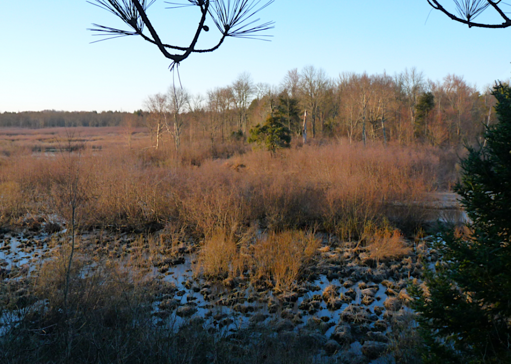 #16. Potawatomi